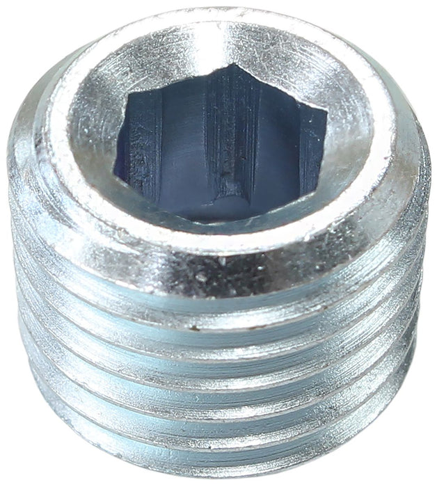 Zinc Coated Steel Port Plug AF979-02